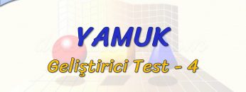 YAMUK / GELİŞTİRİCİ TEST – 4 (TYT)