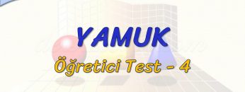 YAMUK / ÖĞRETİCİ TEST – 4 (TYT)
