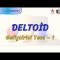 DELTOİD / GELİŞTİRİCİ TEST – 1 (TYT)