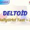 DELTOİD / GELİŞTİRİCİ TEST – 2 (TYT)