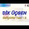 DİK ÜÇGEN / GELİŞTİRİCİ TEST – 2 (AYT)