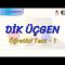 DİK ÜÇGEN / ÖĞRETİCİ TEST – 1 (AYT)