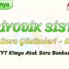 PERİYODİK SİSTEM  / SORU ÇÖZÜMLERİ – 6