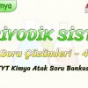 PERİYODİK SİSTEM  / SORU ÇÖZÜMLERİ – 4