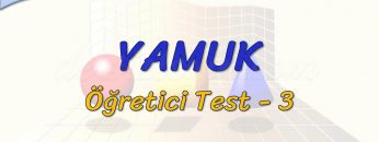 YAMUK / ÖĞRETİCİ TEST – 3 (TYT)