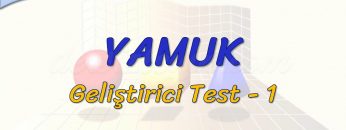 YAMUK / GELİŞTİRİCİ TEST – 1 (TYT)