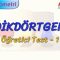 DİKDÖRTGEN / ÖĞRETİCİ TEST – 1 (AYT)