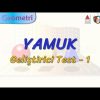 YAMUK / GELİŞTİRİCİ TEST – 1 (AYT)