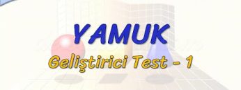 YAMUK / GELİŞTİRİCİ TEST – 1 (AYT)