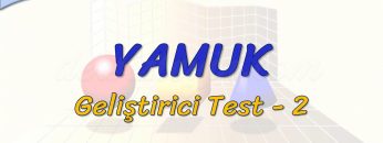 YAMUK / GELİŞTİRİCİ TEST – 2 (AYT)