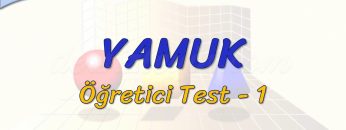 YAMUK / ÖĞRETİCİ TEST – 1 (AYT)