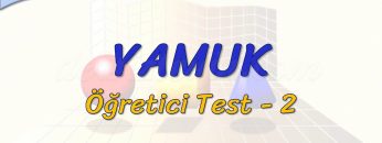 YAMUK / ÖĞRETİCİ TEST – 2 (AYT)