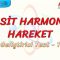 BASİT HARMONİK HAREKET / GELİŞTİRİCİ TEST – 1