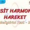 BASİT HARMONİK HAREKET / GELİŞTİRİCİ TEST – 2