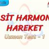 BASİT HARMONİK HAREKET / UZMAN TEST – 1