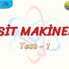BASİT MAKİNELER / YAPRAK TEST – 1