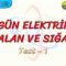 DÜZGÜN ELEKTRİKSEL ALAN VE SIĞA / YAPRAK TEST – 1