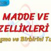 MADDE VE ÖZELLİKLERİ – 8 / YAPIŞMA VE BİRBİRİNİ TUTMA