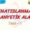 MIKNATISLANMA VE MANYETİK ALAN / YAPRAK TEST – 1