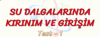 SU DALGALARINDA KIRINIM VE GİRİŞİM / YAPRAK TEST – 1