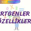 DÖRTGENLER VE ÖZELLİKLERİ