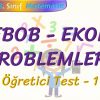 EBOB – EKOK PROBLEMLERİ / ÖĞRETİCİ TEST – 1