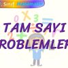 TAM SAYI PROBLEMLERİ