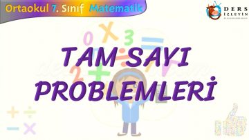 TAM SAYI PROBLEMLERİ