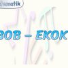 EBOB –  EKOK – 1