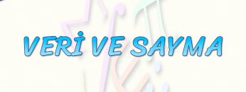 VERİ VE SAYMA