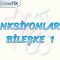 FONKSİYONLARDA BİLEŞKE – 1