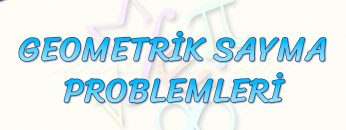 GEOMETRİK SAYMA PROBLEMLERİ