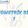 GEOMETRİK DİZİ – 1
