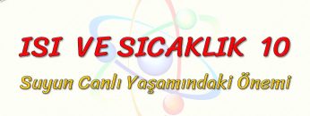 ISI VE SICAKLIK – 10 / SUYUN CANLI YAŞAMINDAKİ ÖNEMİ