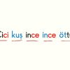 C SESİ OKUMA METNİ