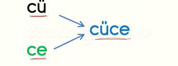 C SESİNİ BİRLEŞTİRELİM