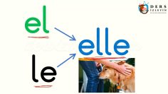 e ve l SESLERİNİ BİRLEŞTİRELİM