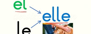 e ve l SESLERİNİ BİRLEŞTİRELİM