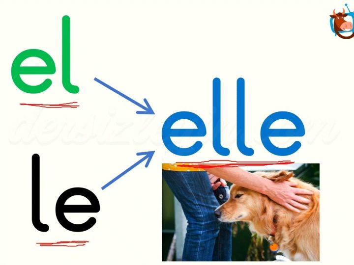 e ve l SESLERİNİ BİRLEŞTİRELİM