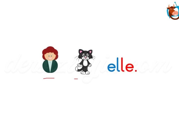 e ve l SESLERİNİ OKUMA METNİ