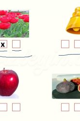 L – l SESİNİ ÖĞRENELİM