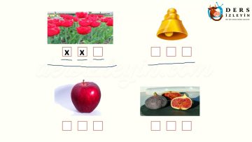 L – l SESİNİ ÖĞRENELİM