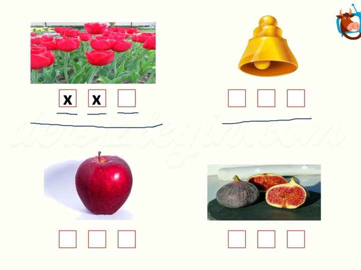 L – l SESİNİ ÖĞRENELİM