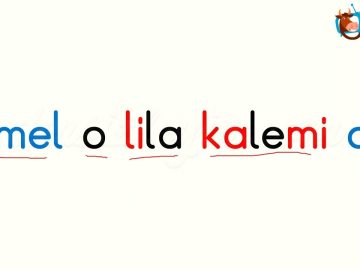 M SESİ OKUMA METNİ