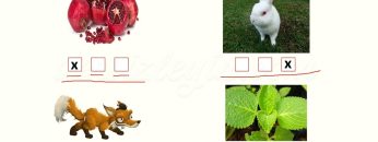 N – n SESİNİ ÖĞRENELİM-