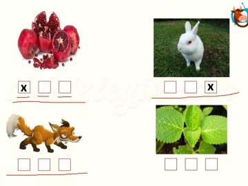 N – n SESİNİ ÖĞRENELİM-