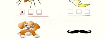 Ö – ö SESİNİ ÖĞRENELİM