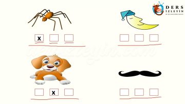 Ö – ö SESİNİ ÖĞRENELİM