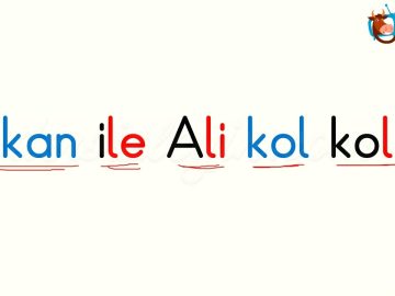 O SESİ OKUMA METNİ