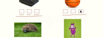 P – p SESİNİ ÖĞRENELİM